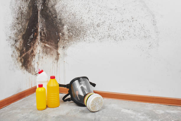 Best Crawl Space Mold Removal  in Berkeley, MO
