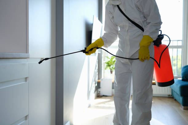 Best Toxic Mold Removal  in Berkeley, MO