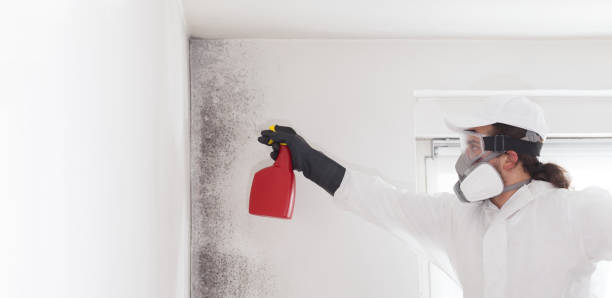 Best Professional Mold Removal  in Berkeley, MO